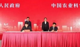 新核心最新爆料新闻视频